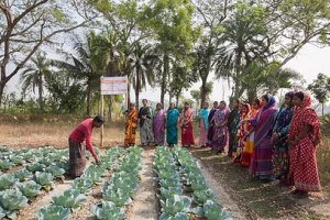 Climate Smart Agriculture for a Resilient Coastal Bangladesh