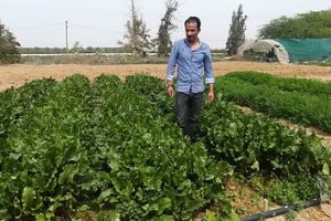 Climate smart saline farming and water management with natural capital accounting in Jordan