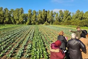 New ways of growing the future