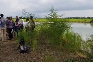 Quick scan and study saline agriculture