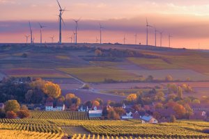 Stimulate plant growth under saline conditions with bacteria