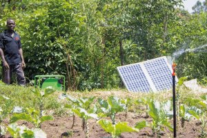 Saline Intrusion in Baixo Limpopo Irrigation: Vulnerability and Adaptation Options for Family Farming