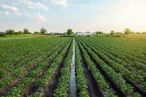 OP-PEIL breakthrough of controlled drainage systems (PGD)