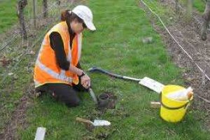 Avoid soil salinisation problems by monitoring the soil