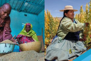 The Global Framework on Water Scarcity in Agriculture (WASAG)