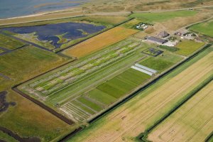 Salt Farm Texel