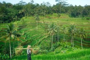 ASEAN Climate Resilience Network