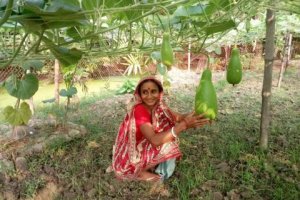 Coastal Opportunities and Agricultural Solutions to Tackle Salinity in Bangladesh