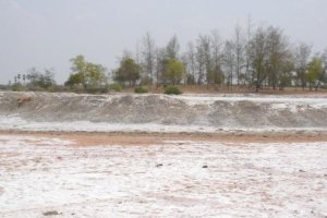 Adapting to Salinity in the Southern Indus Basin