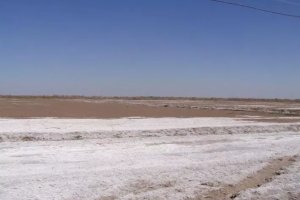 Agriculture for Marginal Lands in Central Asia