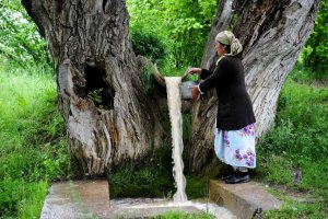 Salinity Management in Central Asia