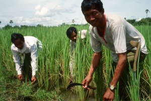 Asian Soil Partnership