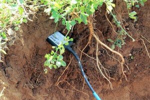 Science and Technology Research Partnership for Sustainable Development Goals