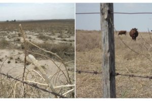 Increasing Climate Resilience and Enhancing Sustainable Land Management in the Southwest of the Buenos Aires Province