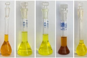 Macroalgae: A valuable food source for the diet of the future