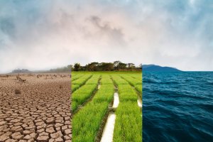 Climate Resilience and Agriculture Development Project