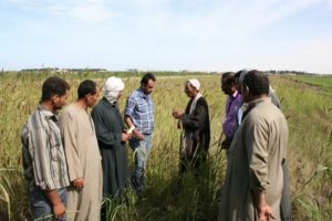 Adaptation to Climate Change in Marginal Environments in West Asia and North Africa