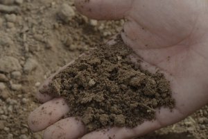 Micro- and Macro-structure Changes of Soil under AQUA4D® Irrigation