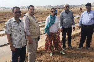 Food for the Future II