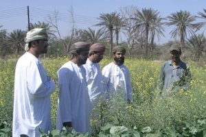 Oman Salinity Strategy