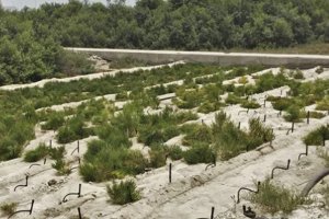Inland and coastal modular farms for climate change adaptation in desert environments