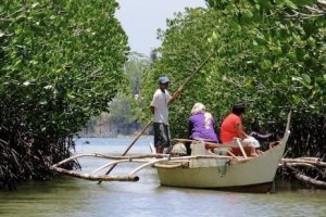 Asia-Pacific Network for Global Change Research