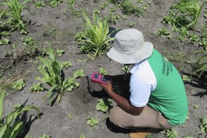 ESA Saline Agriculture Network initiative