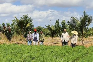 Training Teachers on Climate Smart and Saline Agriculture to Enhance Food Security