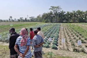 Sustainable Agricultural Development under Saline Conditions and Climate Change Impact