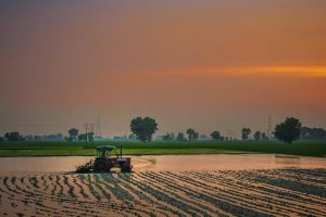 Drainage, Irrigation and Wetlands Improvement Project