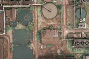 Utilisation of Wastewater for Fuel and Fodder Production in Semi-arid Peri-urban Zones