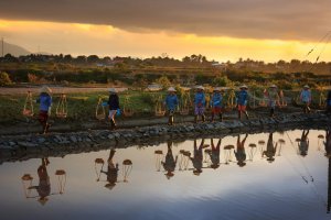 Landscape Salinity and Water Management for Improving Agricultural Productivity