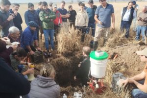 Red Argentine Saline