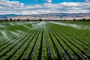 Water in agriculture in three Maghreb countries - status of water resources and opportunities