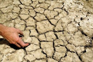 Capacity building for saline agriculture in the Mekong Delta Region