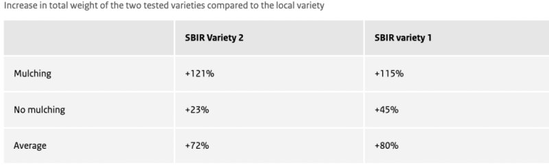 Screenshot 2024 04 29 at 13 47 12 1024x314