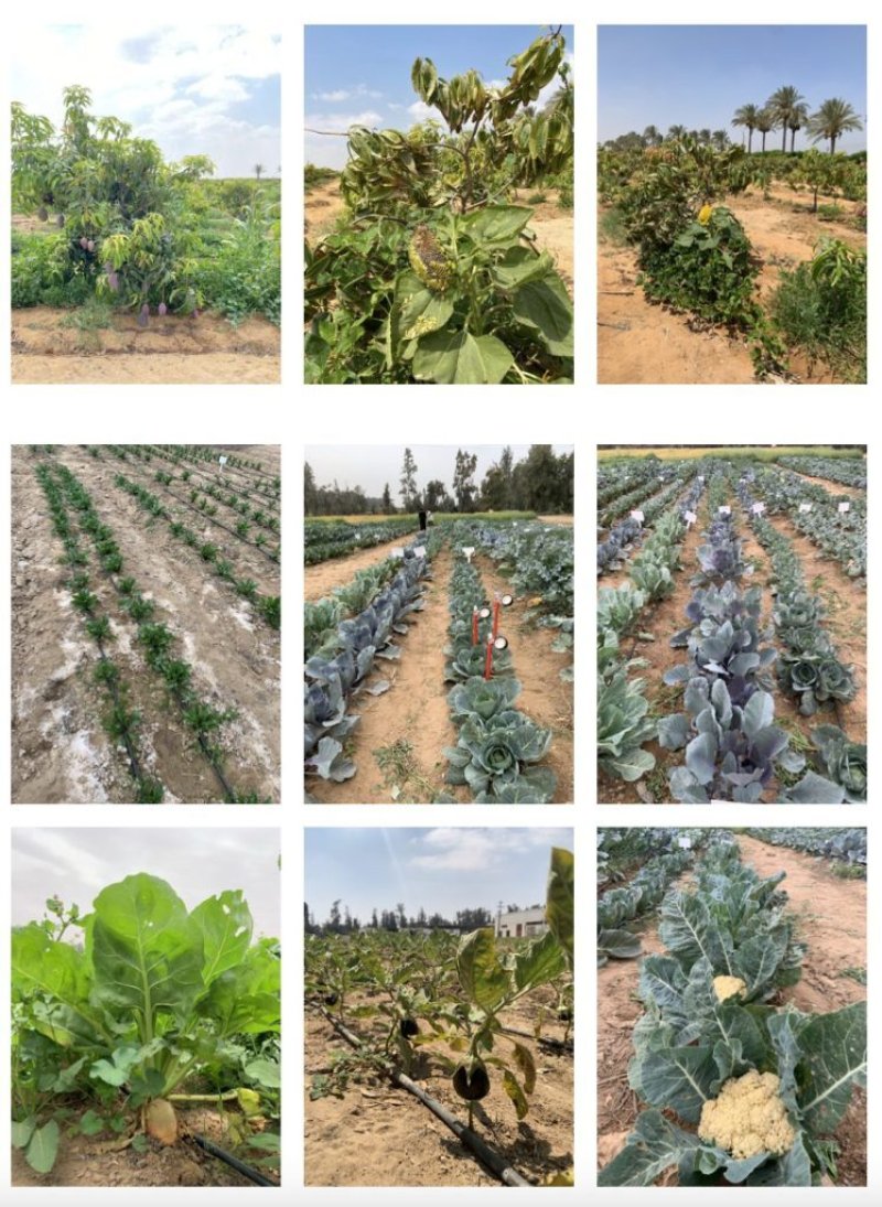 Screenshot 2023 10 10 at 07 06 31 748x1024